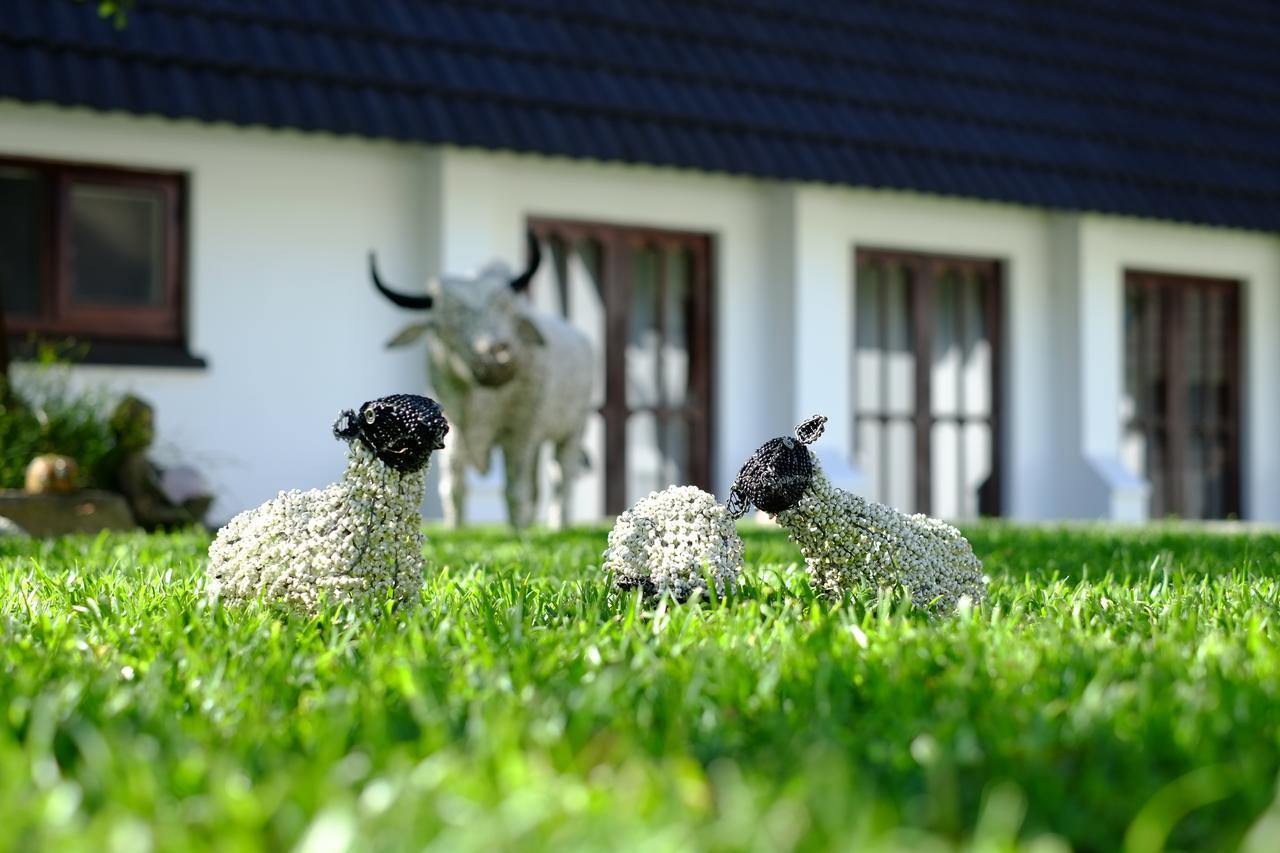 Kilmorna Manor Guest House Shoemanskloof Bagian luar foto